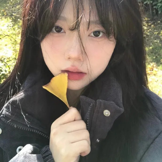 橱窗人生
